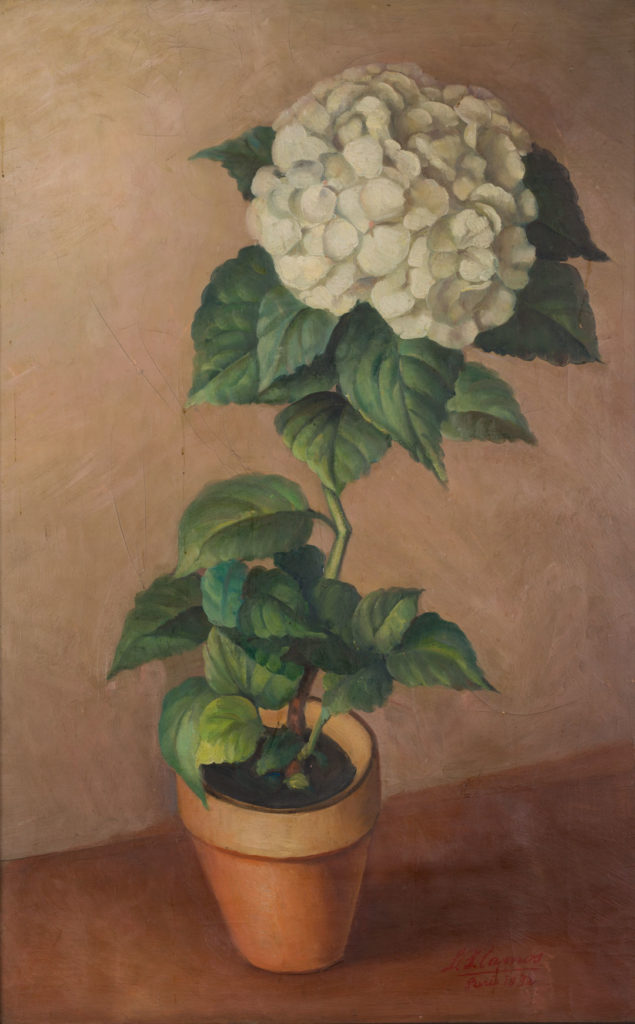 Hortensia, pinturas destacadas - Museo el Castillo