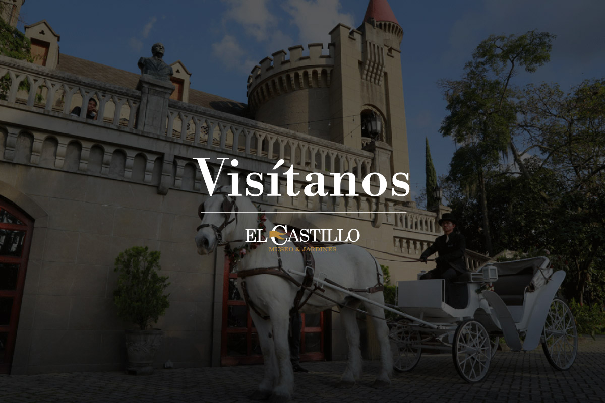 Visita guiada al Museo El Castillo y Jardines